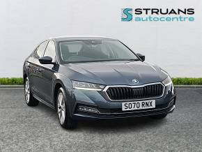 ŠKODA OCTAVIA at Struans Dundee