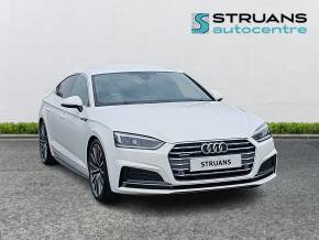 AUDI A5 at Struans Dundee