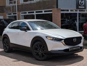 MAZDA CX 30 at Struans Dundee