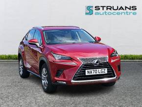 LEXUS NX at Struans Dundee