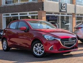 MAZDA 2 at Struans Dundee