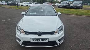 VOLKSWAGEN GOLF at Struans Dundee