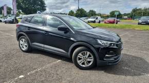 VAUXHALL GRANDLAND X at Struans Dundee