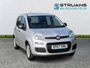 FIAT PANDA at Struans Dundee
