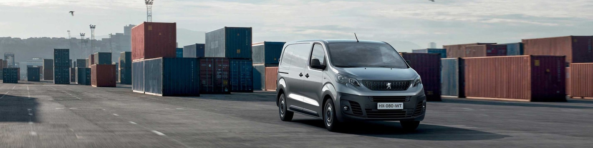 peugeot expert Banner