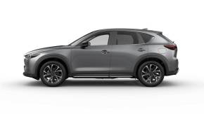 STRUANS SPECIAL - Mazda CX-5 Centre-Line at Struans Dundee