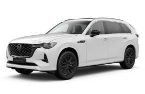 MAZDA CX 80 DIESEL ESTATE at Struans Dundee