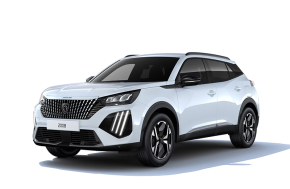 PEUGEOT 2008 ESTATE at Struans Dundee