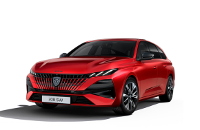 PEUGEOT 308 SW ESTATE at Struans Dundee