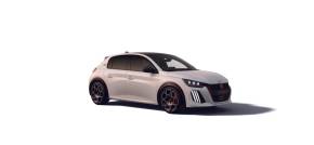 PEUGEOT E 208 ELECTRIC HATCHBACK at Struans Dundee